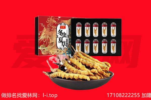 安阳市殷都回收虫草.jpg